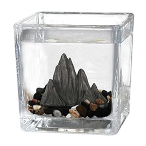 Aquarium Aquarium Kit Transparant Glas Landschapsarchitectuur Fokken Tanks Voor Kleine Vis Desktop Woonkamer Kantoor…