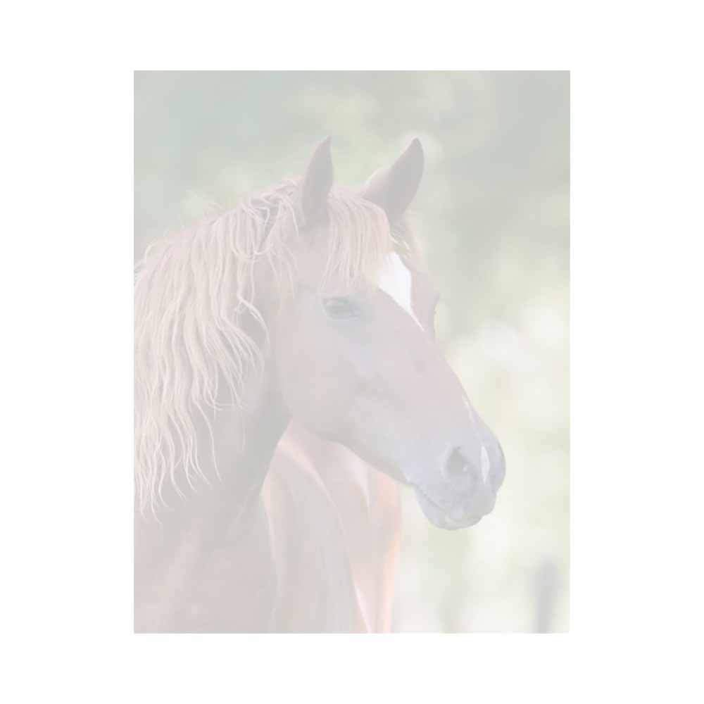Brown Horse Letter Paper - Equestrian Animal Theme Design - Office Business School Supplies