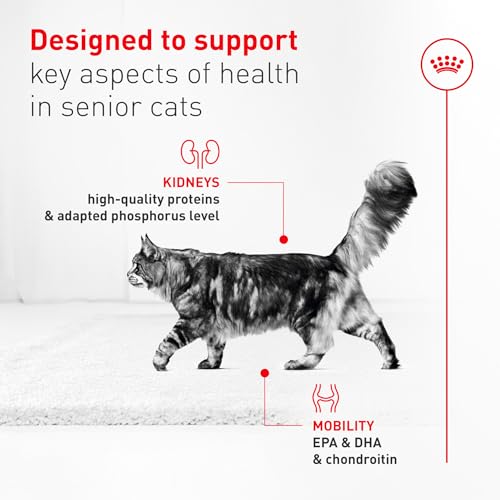 Image of ROYAL CANIN Feline Health Nutrition Aging 11+ Wet Cat Food for Seniors, Thin Slices in Gravy for Cats Over 11 Years, Supports Optimal Health & Vitality, 3 oz can, case of 12