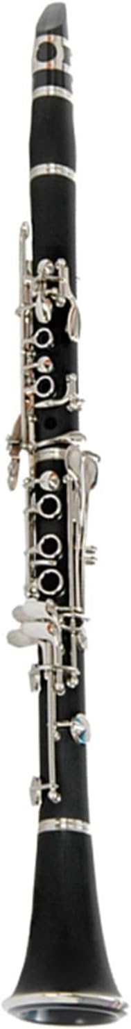 Color Black Tube ABS Glossy Clarinet 17 Keys B Flat Key Beginners And Graded Test(5)