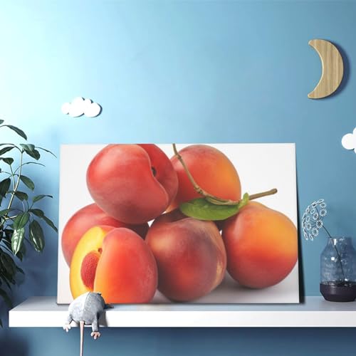 Peinture sur toile d'abricot rouge pour embellir un mur de chambre vide