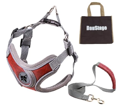 mDauStagen ˑf n[lX [h Zbg 4J[ ^ ^ ^  L p ybgObY   U g[gobO t ({h[, XS ȉdڈ 2`4kgj)