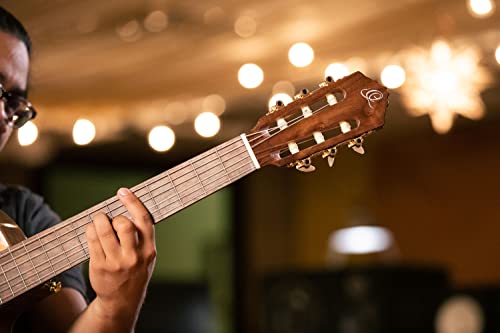 Ortega Guitars 6 String Performer Series Solid Top Slim Neck Acoustic-Electric Nylon Classical Guitar W/Bag, Right (Rce159Mn) #TOP6