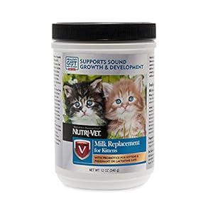 Nutri-Vet Milk Replacement for Kittens + Lixit Nursing Bottle Kit