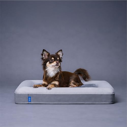 グーグードギー」の人気商品一覧 | 安い商品を通販サイトから探す