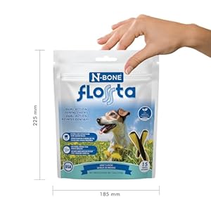 N bone flossta dual action dental chews mint flavor 12 oz bag   cucciolini doodles