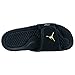 Jordan Nike Hydro 2 Premier Black/Gold 456524-042