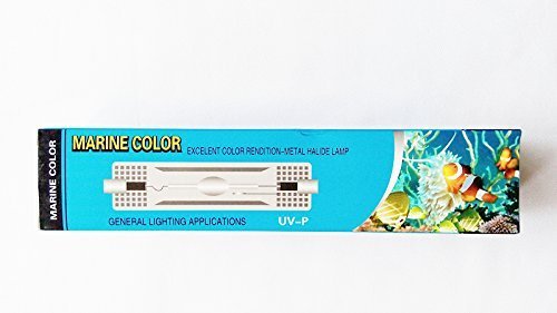 Marine Couleur Ampoule HQI 250W 14,000K FC2 Double Ended Halogénure Métallique Aquarium Marin Récif Lumière Blanc Bleuté Puissante Durable 6000hrs Éclairage Coraux Plantes Eau de Mer