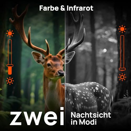 iZEEKER Wildkamera WLAN Duales Objektiv 4K 30fps 60MP, Wildtierkamera mit Sternenlicht Nachtsicht...
