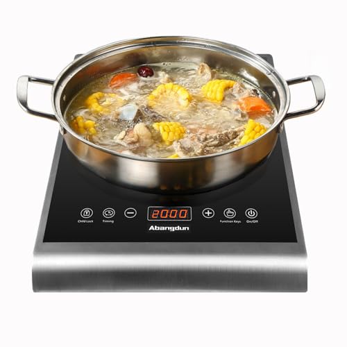 Placa de inducción Abangdun, 2000 W, placa de inducción con 10 niveles de potencia, 200 W-2000 W, rango de temperatura 60 – 240 °C, pantalla LED, temporizador de 18 horas, 190 – 275 V placa de