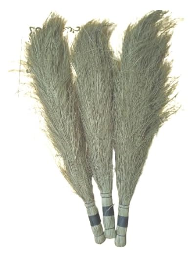 Natura Greenhouse Broom Jhadu Jharu Jhata Khejur Khajur Patte Pata Jharu Date Palm Leaf Handmade 2FT Pack of 3 (B0CTKRMZFR) Amazon Price History, Amazon Price Tracker