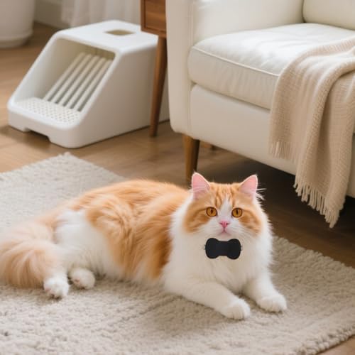 Cat Gps Tracker, Kattentracker, hondentracker zonder maandelijkse kosten, GPS-kattentracker, IP67-waterdicht, veiligheidstracker voor katten, huisdiertracker voor katten (alleen iOS) - Afbeelding 3