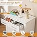 PETSITE White Cat Litter Box Enclosure, Modern Hidden Litter Box Furniture Side Cabinet with 2 Drawers, Double Doors, and Anti-toppling Devices, Ideal for Indoor Cats, 32 x 18 x 32 Inches