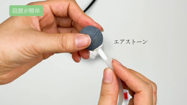 Amazon | FEDOUR 2W 一つ吐出口水槽エアポンプ、調節ノブ付きの強力