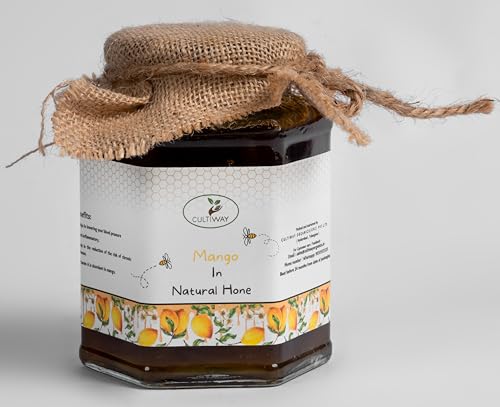 Honey Mango Spread Sugar Free Mango Jam Perfect Addition to Your Healthy Breakfast (Free 80 gram Natural Honey jar) | 500 Gram