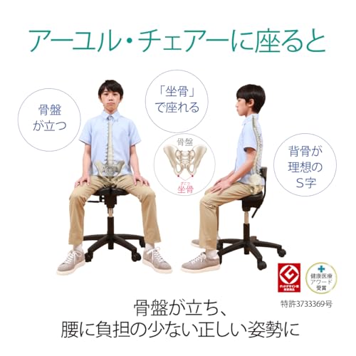 ayur-chair アーユルチェアー キャスタータイプ スタディ足置きリング付き(31027) の商品画像 3