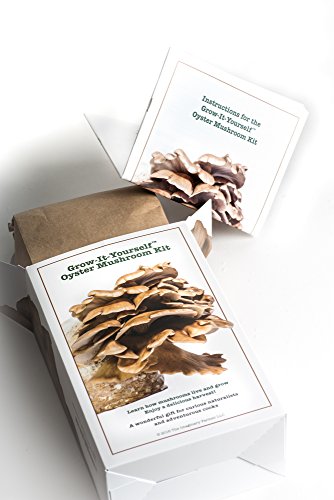 Oyster Mushroom Growing Kit - Premium Edition