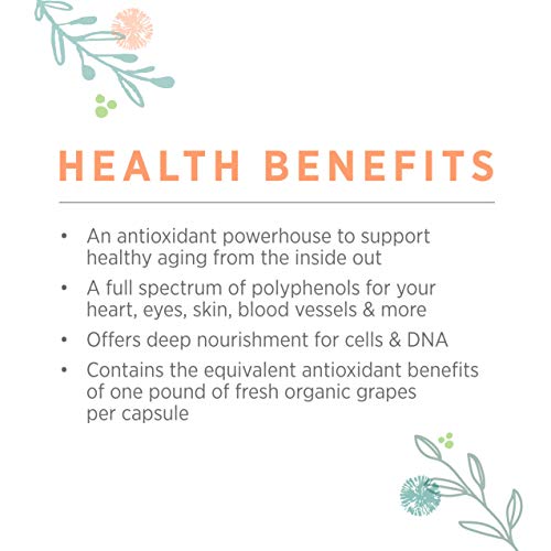 Pure Synergy Superpure Grape Seed, Organic Extract, 60 Capsules #TOP4