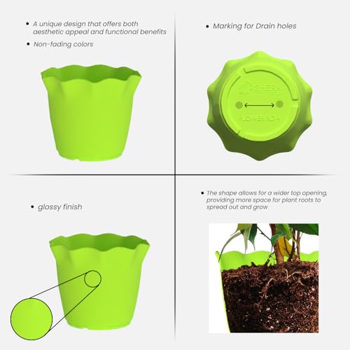 Image of YUCCABE ITALIA SHERA 4 Inch Plastic Flower Pot 12 Piece Set of Unbreakable Round Shape Planter for Home Garden Seedling, Indoor and Outdoor (Green)