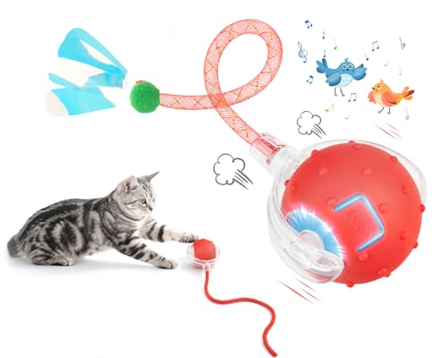 EXTFANS Katzenball Elektrisch mit 2 Schwanzseilen - Elektrischer Katzenspielzeug Ball, Interaktives Katzenspielzeug mit 4 Modi & Vogelstimmen, 360° Powerball & USB-Ladung, mit LED-Leuchten (Rot) EXTFANS Katzenball Elektrisch mit 2 Schwanzseilen - Elektrischer Katzenspielzeug Ball, Interaktives Katzenspielzeug mit 4 Modi & Vogelstimmen, 360° Powerball & USB-Ladung, mit LED-Leuchten (Rot)