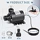 EXLECO Wasserpumpe Bürstenlose DC 12V, Mini Wasser Pumpe 800L/H 5 M Kleine Tauchpumpe Aquariumpumpe Keramik Pumpenkern Pumpe für Aquarium Teich Brunnen Pool Wasserzirkulationssystem