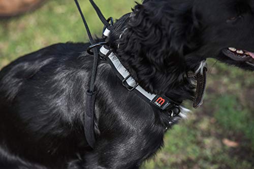 Mikki Walkrite Trainingsgeschirr gegen unkontrolliertes Ziehen mit reflektierendem Halsband, medium