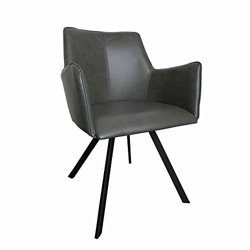 Preisvergleich Produktbild Pharao24 Esszimmerstuhl mit Armlehnen Grau