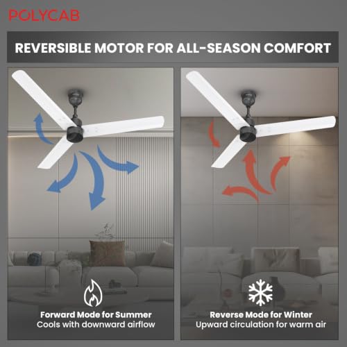 Image of Polycab Wizzy Plus 1200mm 5-Star BLDC, Remote Ceiling fan for Living Room| 55% Energy Saving, High Air Delivery | 3+1 yr Warranty【Matt White Black】