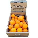 TropiTop