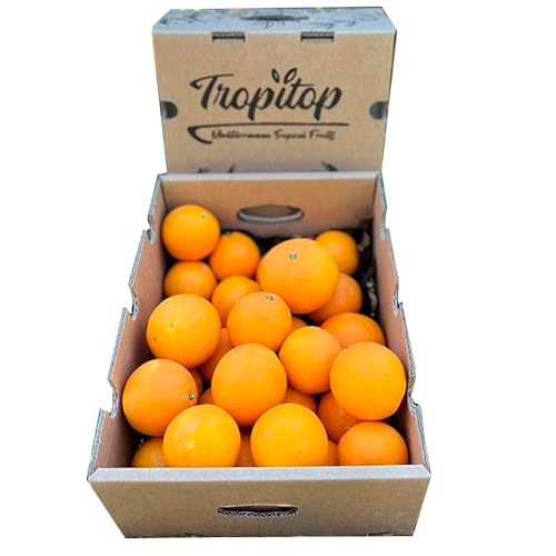 Caja de naranjas de temporada | 4, 9 o 15kg. Comprar naranjas cultivadas de forma sostenible en Castellón (España) y directas del agricultor a tu casa (4 Kg)