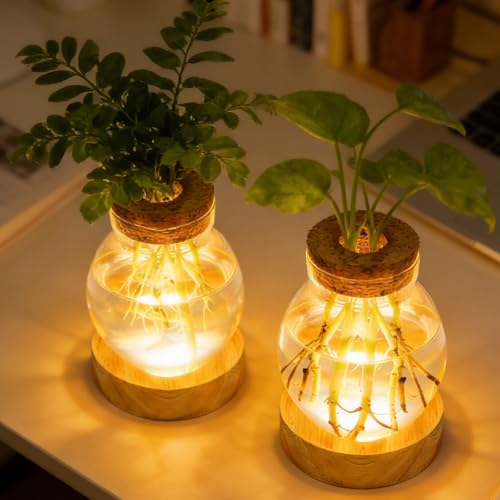 Lot de 2 vases lumineux en verre à LED - Station de propagation de plantes avec base en bois - 3...