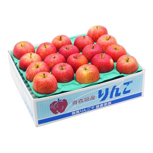 [26年2月発送]りんご[訳あり]サンふじ 約5kg(16〜23玉程度)