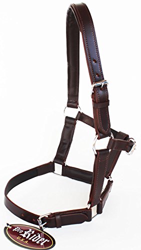 St. Charles Equine Riding Horse Leather Halter English Western Tack Foal Brown 927R17BR