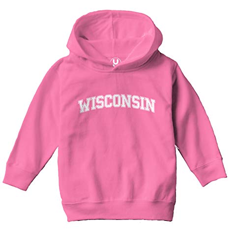 Haase Unlimited Wisconsin - State Proud Strong Pride Toddler/Youth Fleece Hoodie2