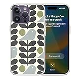 KAYZAR Phone Case Orla TPU Kiely Shockproof Design Protect Cover Birthday Compatible with iPhone 15 Pro Max 14 13 12 Mini 11 X Xs Xr 8 7 6 6s Plus Transparent