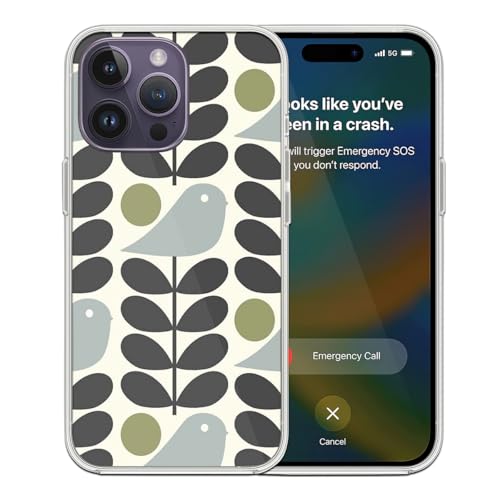 KAYZAR Phone Case Orla TPU Kiely Shockproof Design Protect Cover Birthday Compatible with iPhone 15 Pro Max 14 13 12 Mini 11 X Xs Xr 8 7 6 6s Plus Transparent