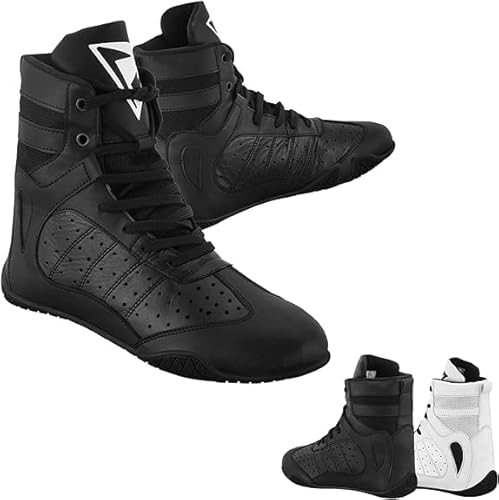 Hive Moto {NVOV[Y Y vXu[c nCgbv tBbglX XOV[Y MMA iZ W t@Cg g[jOV[Y, ubN, 12