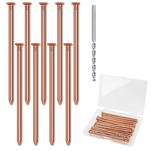 10 Pcs Copper Nails to Kill Tree Stump Stake Removal Nailer for Trees 3.15