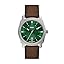 Brown Leather/Silver/Green