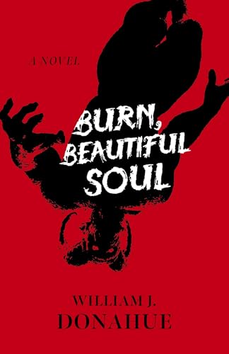 Burn, Beautiful Soul: A Novel