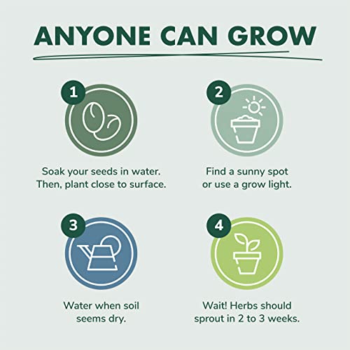 Herb Garden Seeds For Planting - 10 Culinary Herb Seed Packets Kit, Non Gmo Heirloom Seeds, Plant Markers, Wood Gift Box - Home Gardening Gifts For Gardeners #TOP5