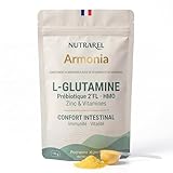 Nutrarel Armonia - Confort Digestif Ballonnements Ventre Gonflé - Prébiotique 2'-FL HMO + L-Glutamine 2000mg - Magnésium & Zinc Bisglycinate - Vitamines B + Curcuma - 30 Jours Poudre Ananas