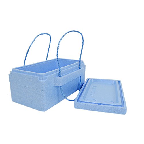 Amazon.co.jp: 発泡クーラーボックス 10L : スポーツ＆アウトドア