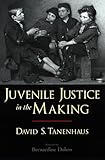 Juvenile Justice in the Making (Studies in Crime and Public Policy)