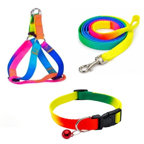 Image of Dog Trust Colourful Adjustable Nylon Puppy Leash Harness and Collar Combo, Suitable for Puppy 15 mm Multicolor (Collar + Harness + Leash) 01