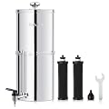IceJoy Gravity Water Filtration System 2.25 Gallon - 304 Stainless Steel Countertop System, Chlorine Reduction, NSF/ANSI 42 Certification
