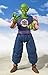 Bandai Tamashii Nations S.H.Figuarts Piccolo Daimao 