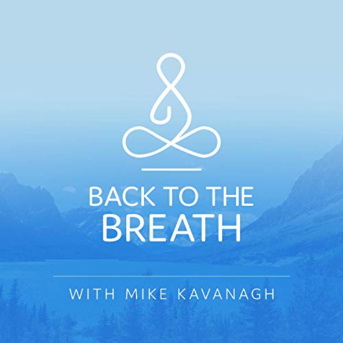 Back to the Breath cover art
