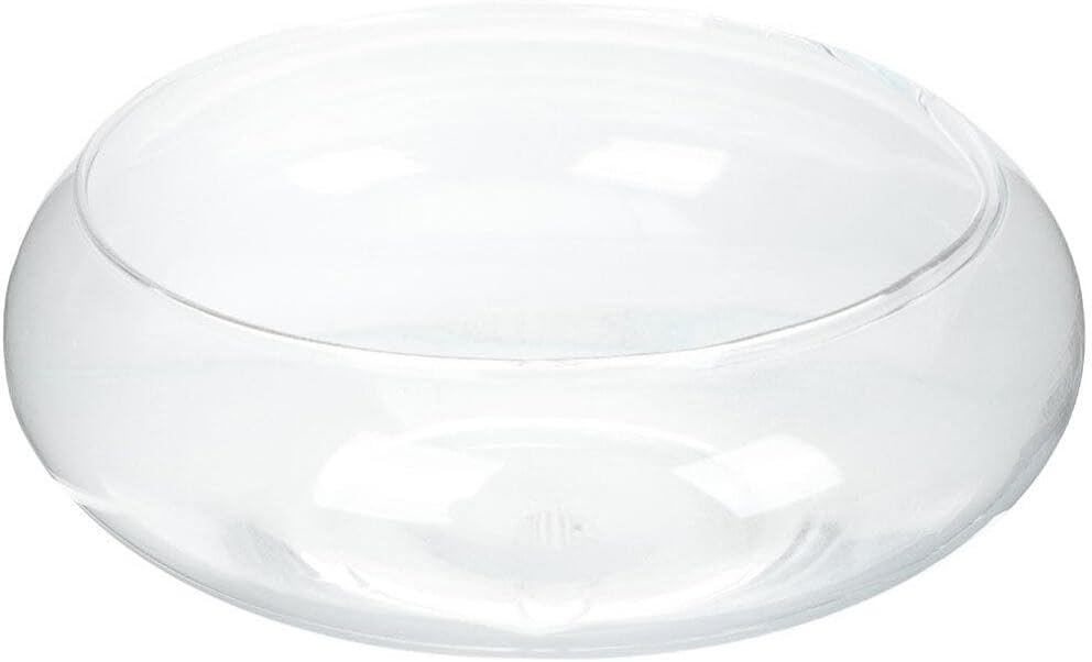 Balacoo Betta Tank Glass Fish Bowls Bubble Bowl Vase Fish Container Plant Pot Aquarium Betta Fish Tank Globe Hydroponic Planter Candy Dish Fruit Jar for Candle Holder 25cm