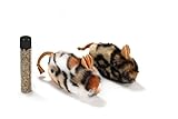 Petlinks Refillable Catnip Cat Toys